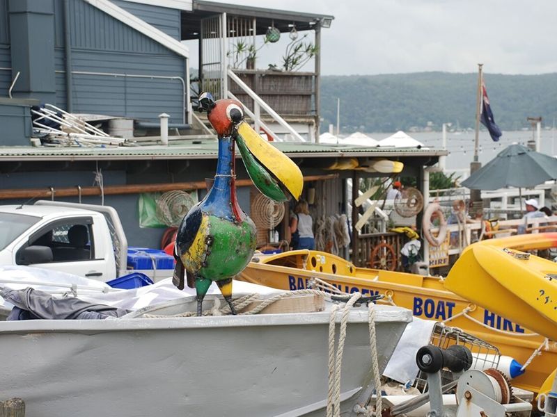 Wholesale Pete The Pelican Drinks Tub 