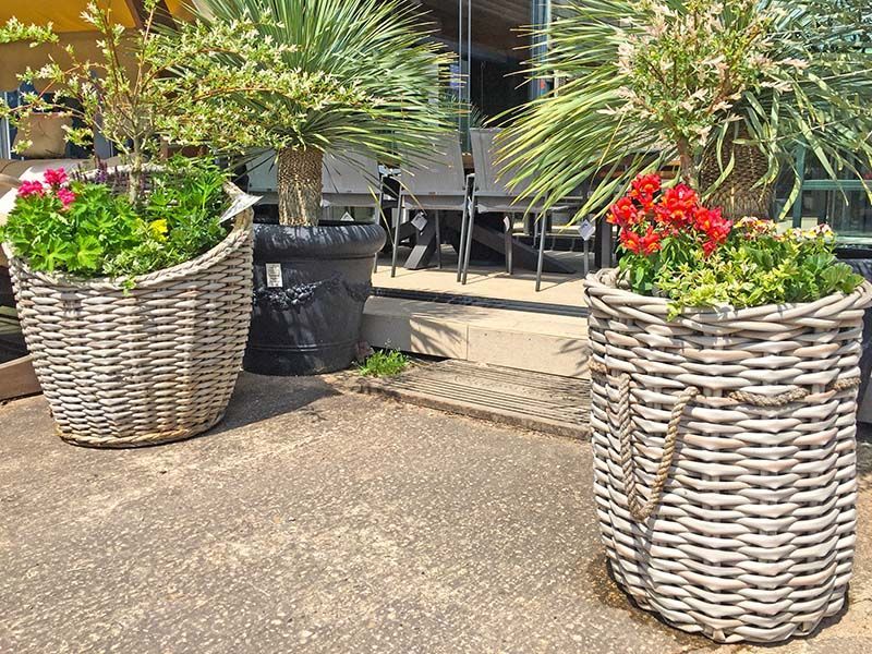 Wholesale Fiji Basket 