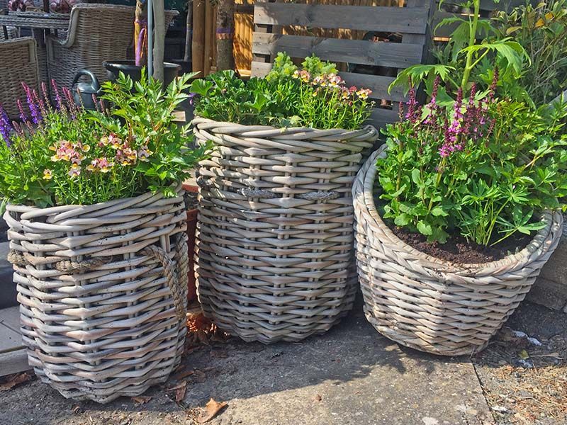 Wholesale Fiji Basket 