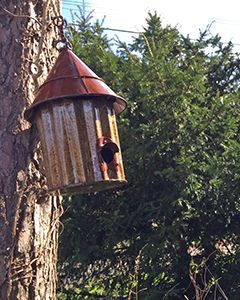 Wholesale Bird Shack 