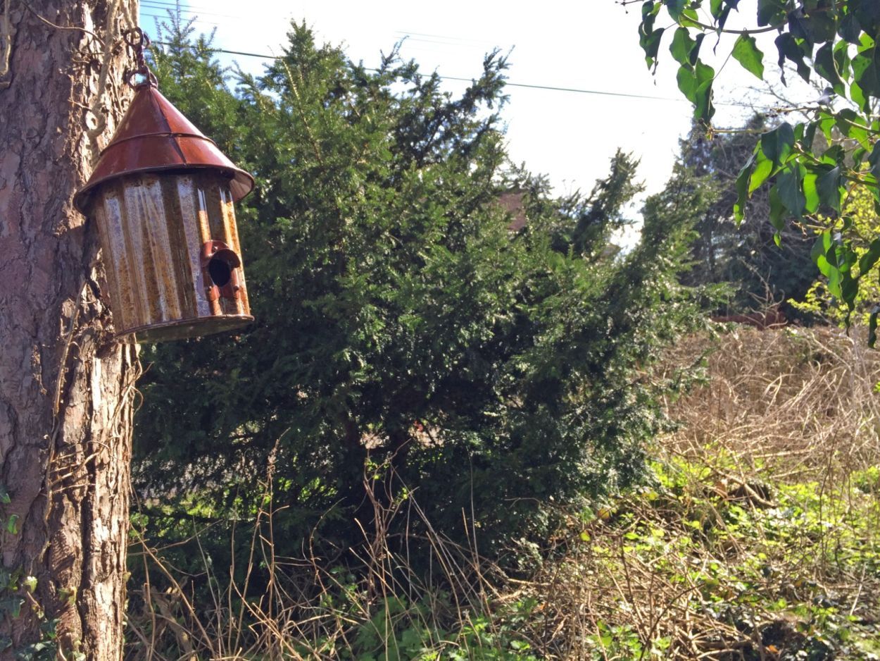 Wholesale Bird Shack 