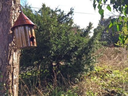 Wholesale Bird Shack 