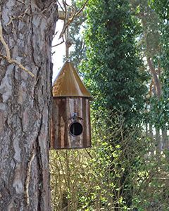 Wholesale Bird Shanty