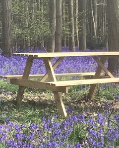 Wholesale Picnic Table 1.5m FSC