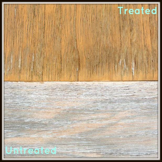teak protector demo