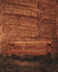 Wholesale Repro Teak Bench