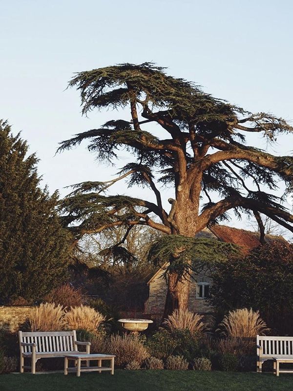 Wholesale Rochester 1.5M Bench | FSC Certified 