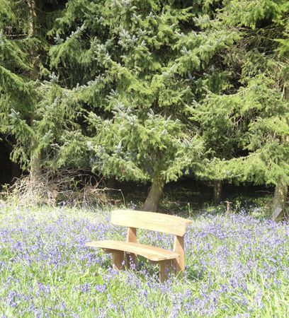 Wholesale Romance Teak Bench