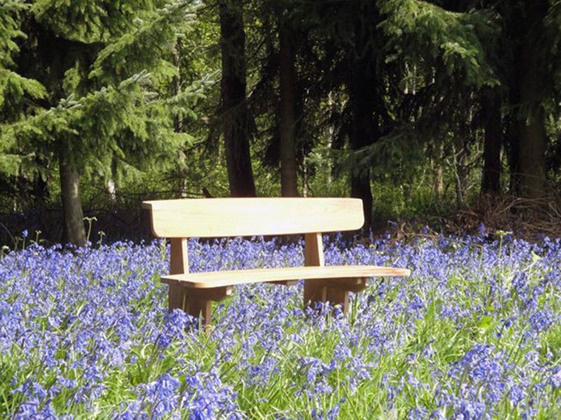 Wholesale Romance Teak Bench