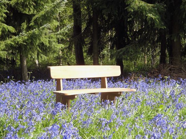 Wholesale Romance Teak Bench