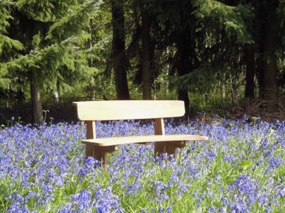 Wholesale Romance Teak Bench