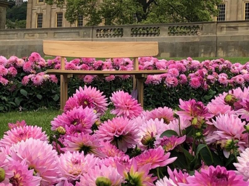 Wholesale Romance Teak Bench