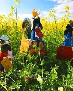 Wholesale Rooster Family