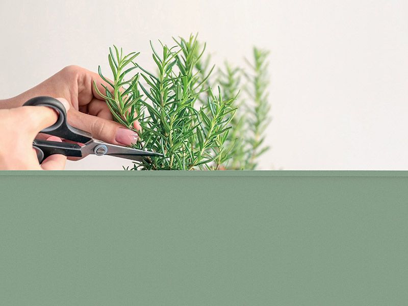 Wholesale Urban Garden Trolley | Sage Green