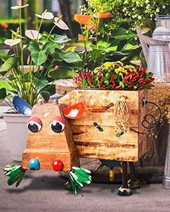Wholesale Dolly P Planter