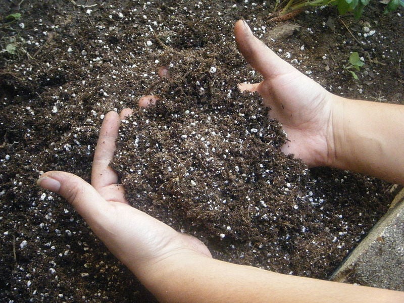 Garden Soil