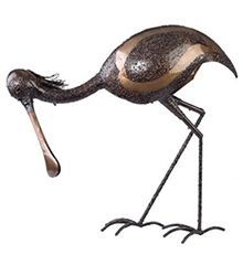Wholesale Spoonbill Pecking