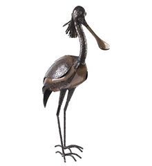 Spoonbill Standing