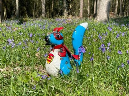 Wholesale Sam the Super Squirrel