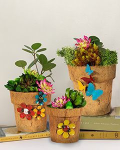 Wholesale Cocopots Summer Of Love  (Set Of Three)
