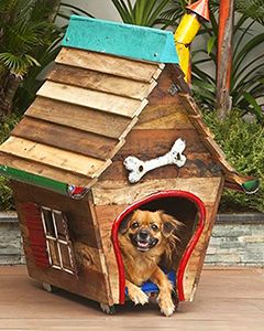 Wholesale The Shack Dog House