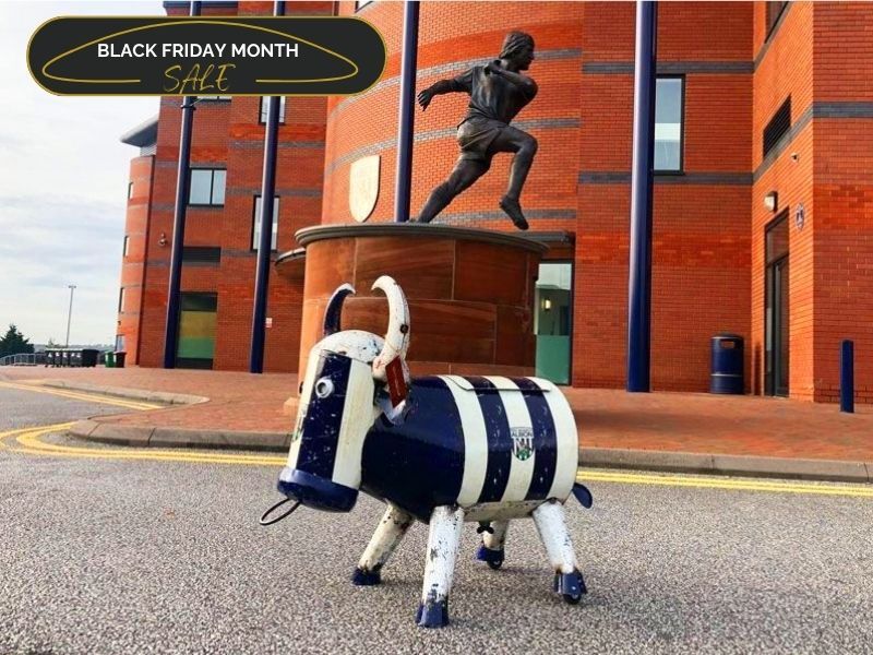 Wholesale WBA Bruce The Bull Cooler