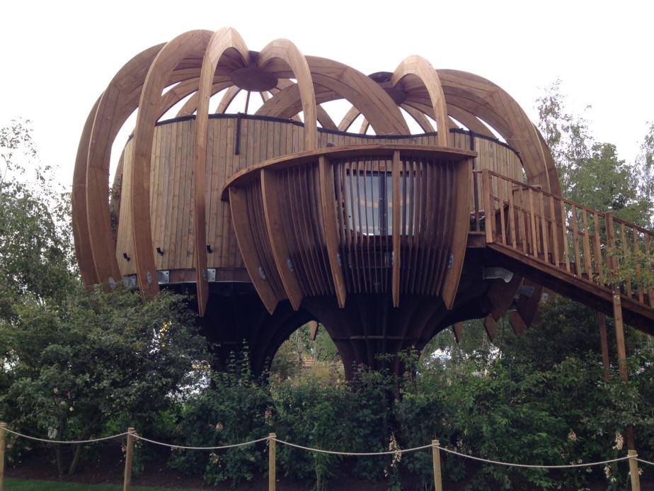 Treehouse Again 