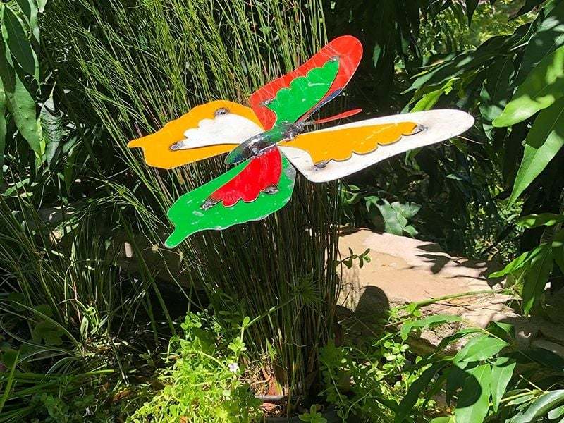 Wholesale Barnyard Ulysses Butterfly