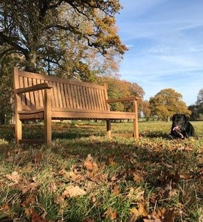 Wholesale Westminster Bench 1.5m