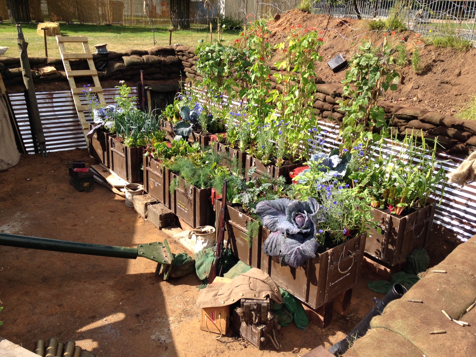 Inside the trenches in the lest we forget garden design 