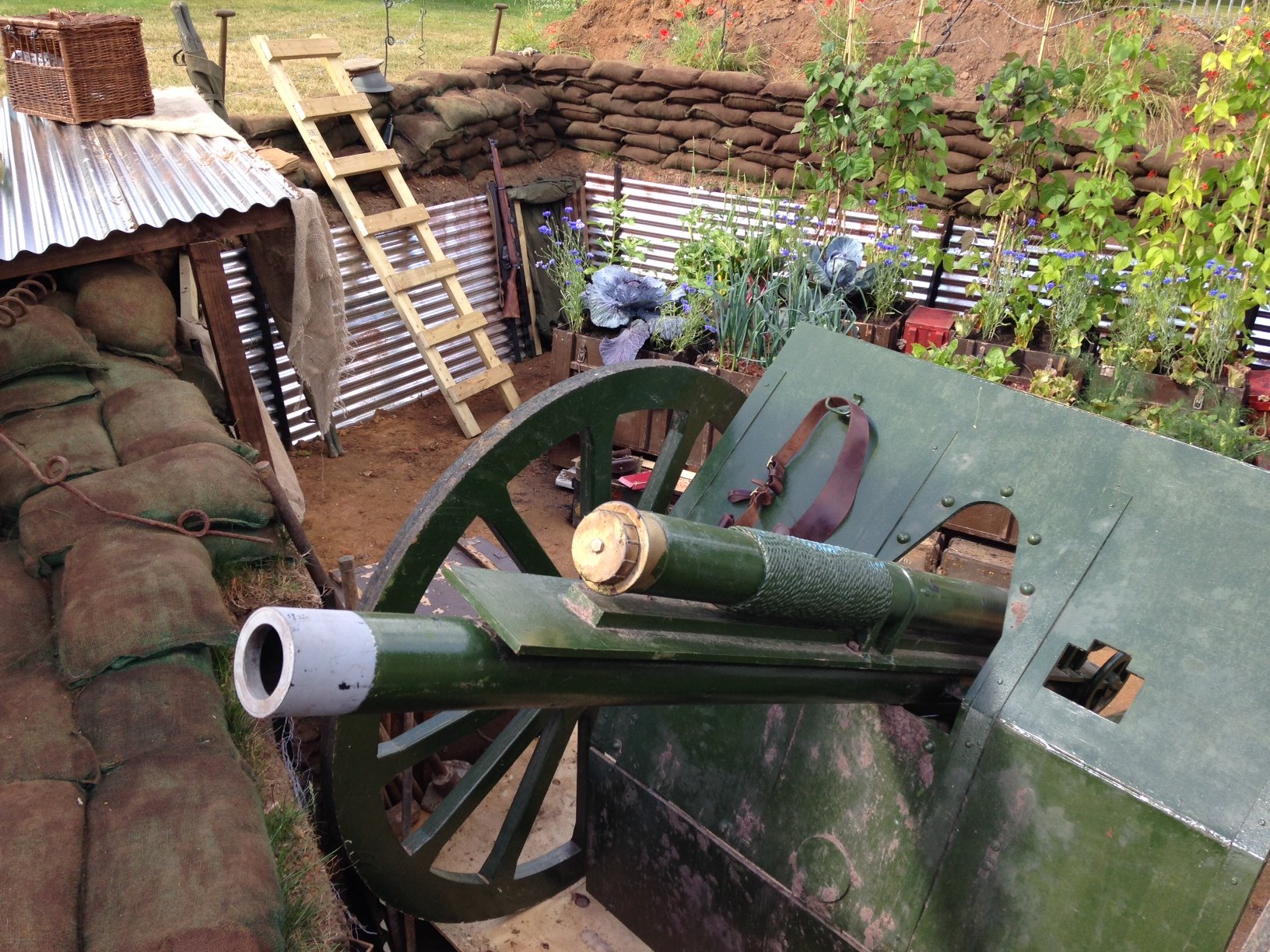 Paying tribute to ww1 soildiers with garden designs 