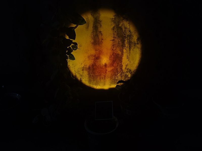 Sunset Solar Garden Light | KS