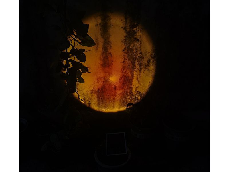 Sunset Solar Garden Light | KS