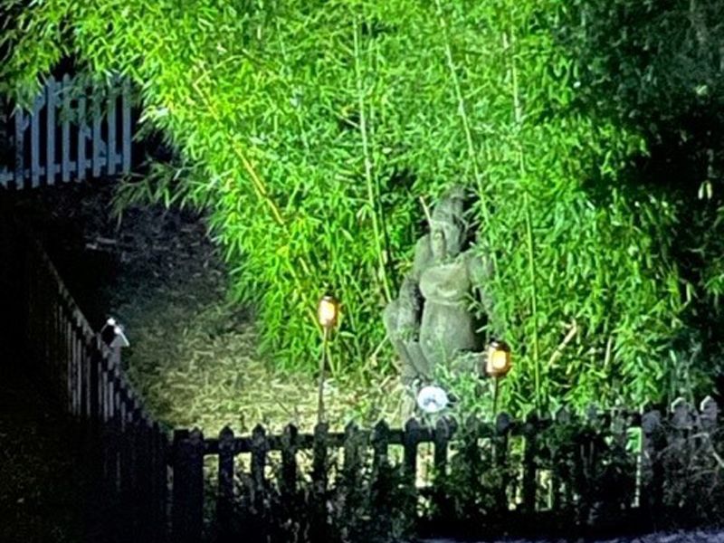 Solar Garden Torch | KS