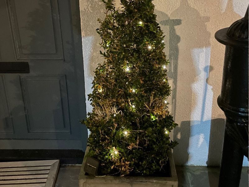 Solar LED Wire Fairy Lights | KS