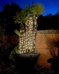 Solar LED Wire Fairy Lights | KS