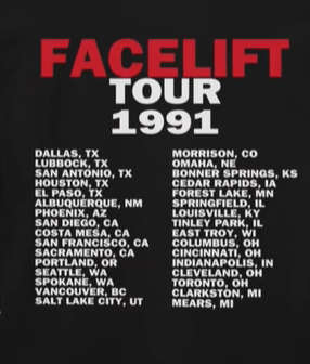 ALICE IN CHAINS - 'Facelift'  Washed Unisex T-Shirt