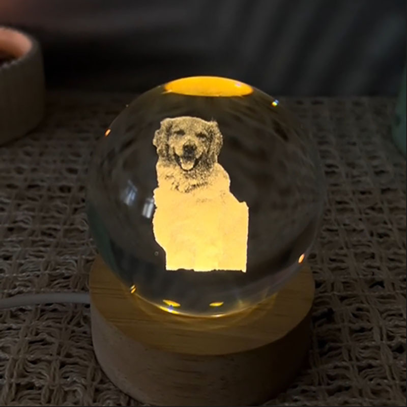 Custom made pet crystal ball