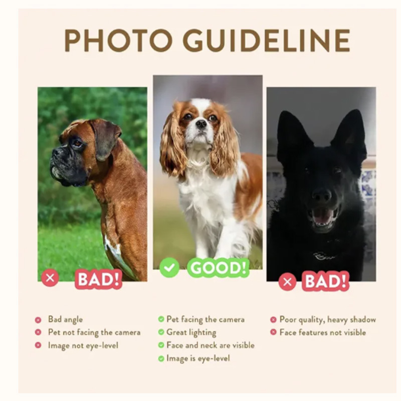 Pet portrait embroidered sweatshirt