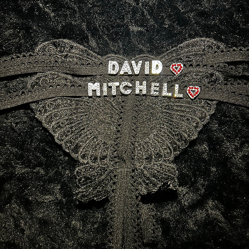 Custom Butterfly Bling Panties