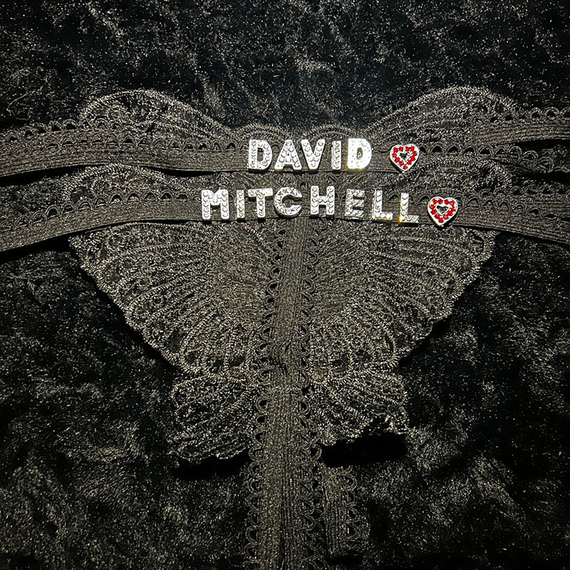 Custom Butterfly Bling Panties