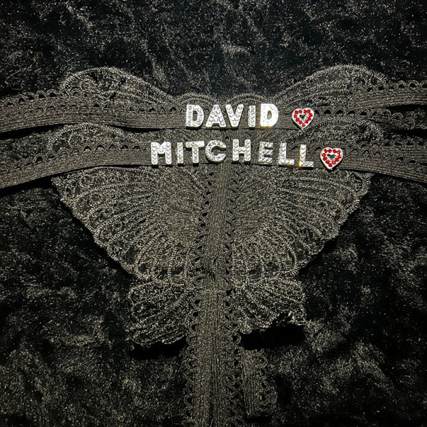 Custom Butterfly Bling Panties