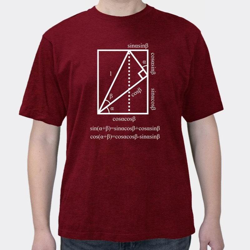 Science math triangle formula print crop top