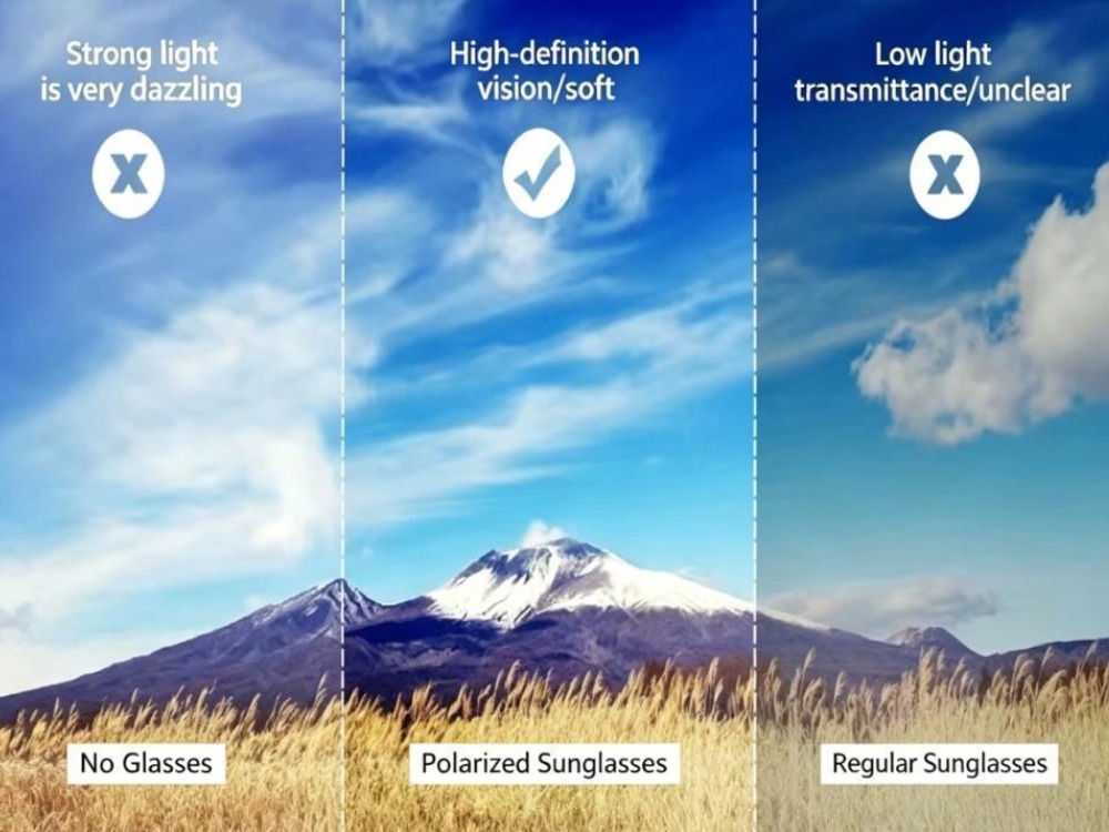 What are polarized lenses?