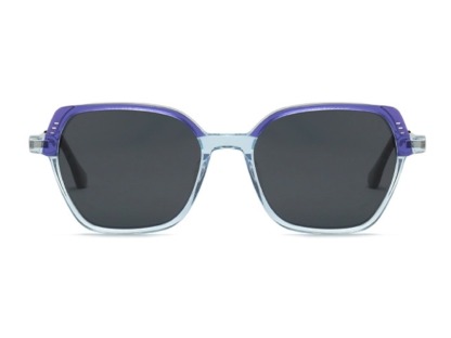 Alberta - Geometric Polarized Sunglasses