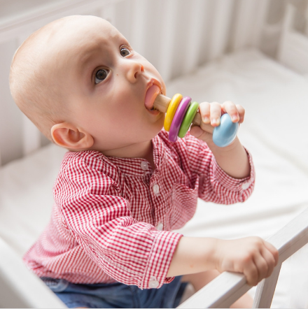 Newly Designed Educational Montessori Rattle Toy Wooden Baby Gift Box Crochet Animal Color Rattle