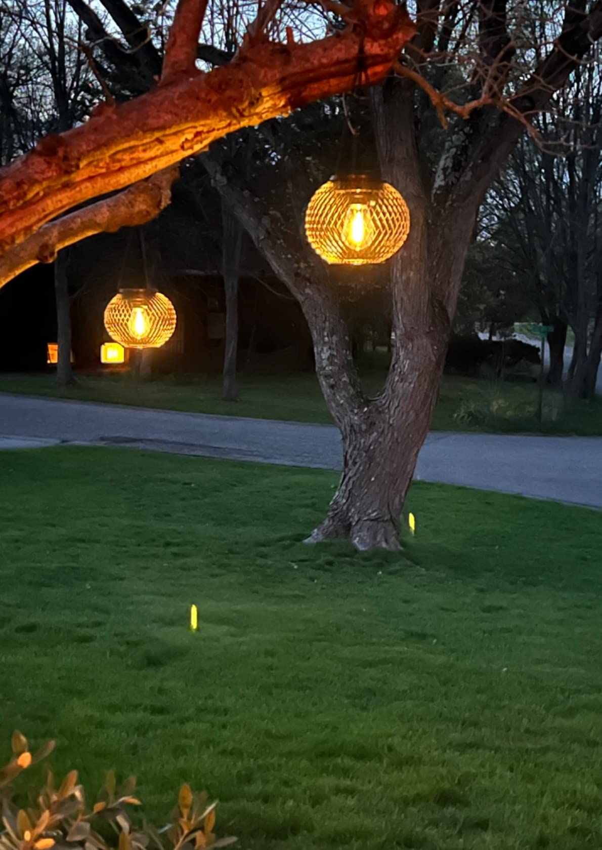 I am over the moon with these lanterns