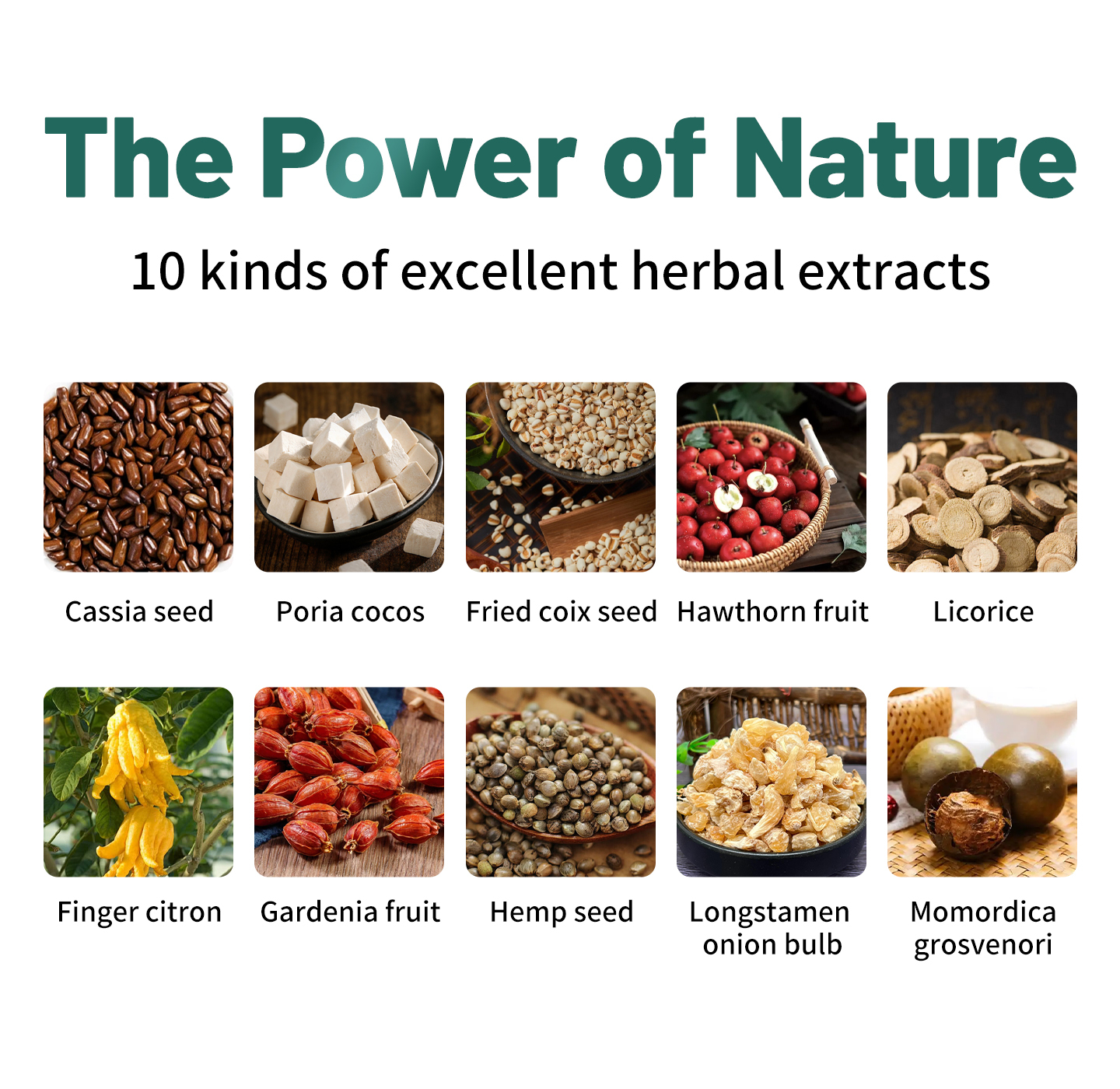Wellness herbal tea