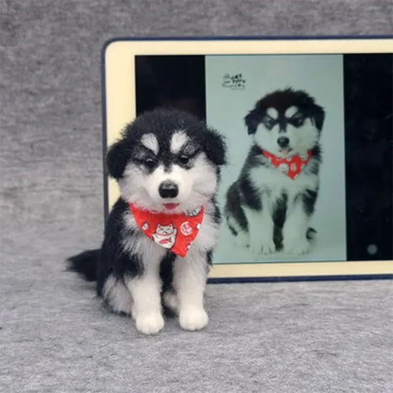 Custom Needle Felted Dog, Dog Sculpture Felted Pet Portrait, Gift for Pet Lovers with Free Exquisite Packaging Box