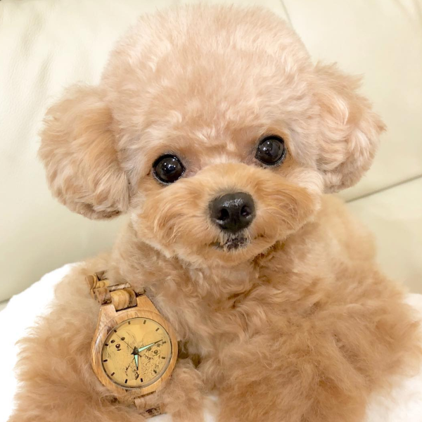 Custom Engraved Bamboo Photo Watch Wooden Leather Strap